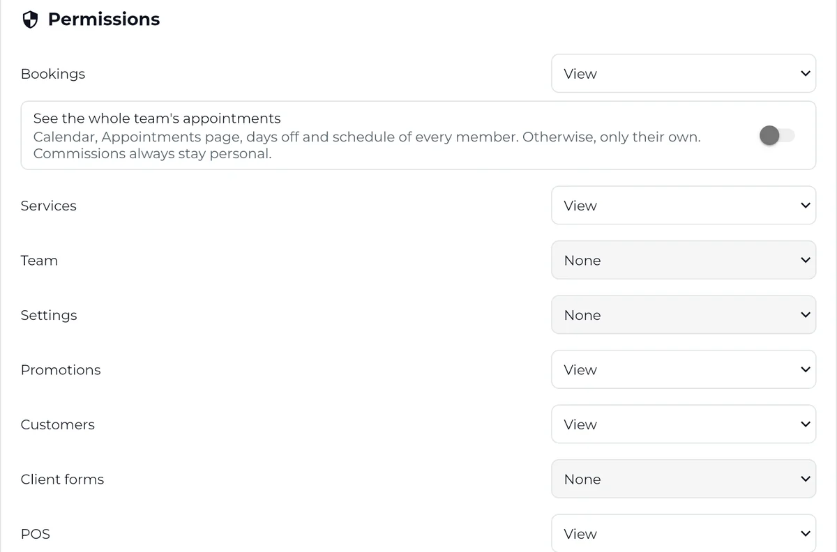 Access settings for a team member