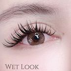 Wet Look Extensions