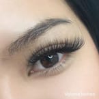 Volume Lashes