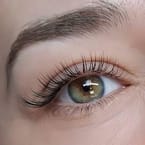 Classic Lashes