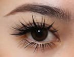 Anime Style + Bottom Lashes 