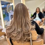 Highlights + color 