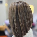 Highlights
