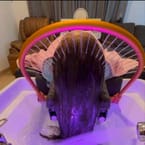 Vietnamese Head Spa