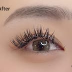 6D Design Lashes