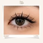 Rabbit Lash Extension