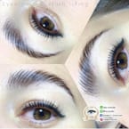 Eyebrow tattoo (shading 2 tone)