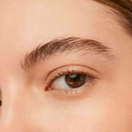 Eyebrow Tint