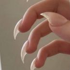 Exotic Nail + Color