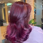 Women Hair Color (Starting Price)