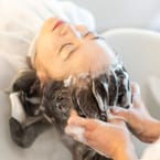 Shampoo & Set