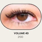 Volume 4D
