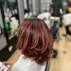 Hair Color (2,500 - 5,500 THB)