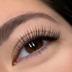 Classic Lash Extension