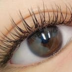 Classic Lash Extension