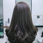 Root Touch Up