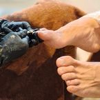 Ingrown Toenail Treatment