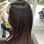 Haircut - No Wash (Starting at)