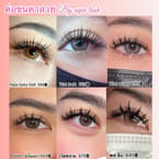Undecided Eyelash Style (Starting Price)