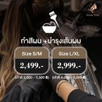 Hair Color + Treatment