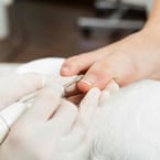 Remove Gel Polish Feet