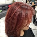 Hair Color (Starting at)