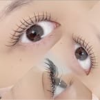 Classic Flat Lash