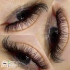 6D Volume Lash