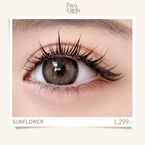 Sunflower Lash Extension