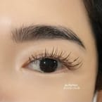 Classic Eyelash