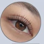 Classic Lash Extension
