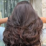 Haircut only