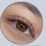 Classic Lash Extension
